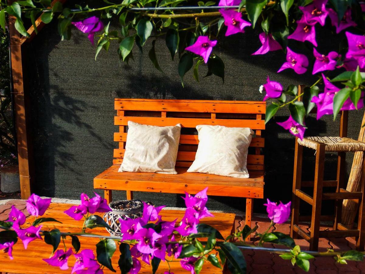 B&B Cala Dolce Альгеро Экстерьер фото